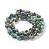Natural African Turquoise(Jasper)  Beads Strands G-H243-10-2