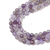 Natural Amethyst Beads Strands G-G189-D22-02-4