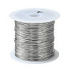 Non-Tarnish 316 Stainless Steel Wire TWIR-L004-01C-P-1