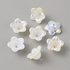 Opaque Acrylic Bead Caps SACR-TAC0007-02H-1