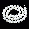 Natural Trochid Shell/Trochus Shell Beads Strands SSHEL-S266-023A-04-2