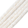 Natural Freshwater Shell Beads Strands X-SSHEL-C013-04B-1