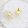 Alloy Pendants INS-PW0001-09E-G-1