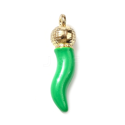 Opaque Resin Pendants RESI-V004-01C-1