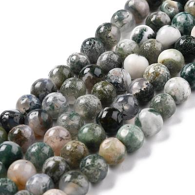 Natural Tree Agate Beads Strands G-I199-03-8mm-1