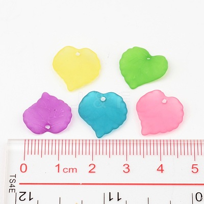 Mixed Transparent Forsted Leaf Acrylic Charms X-PL591-1