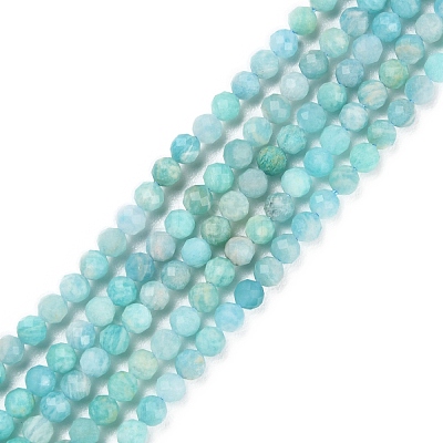 Natural Amazonite Beads Strands X-G-P500-01B-01-1