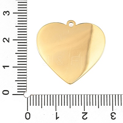 304 Stainless Steel Enamel Pendants STAS-Z186-12G-01-1