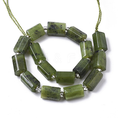 Natural Canadian Jade Beads Strands X-G-S345-8x11-006-1