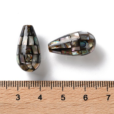 Natural Paua Shell Beads SSHEL-B002-10A-02-1