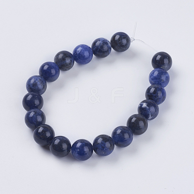 Natural Sodalite Beads Strands X-G-G515-10mm-07-1