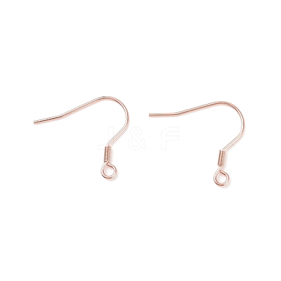 304 Stainless Steel Earring Hooks X-STAS-P221-04RG-1