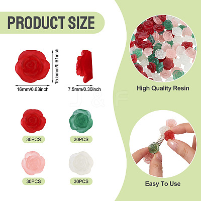 60Pcs 4 Colors Frosted Trabsparent Resin Cabochons RESI-TA0005-09-1