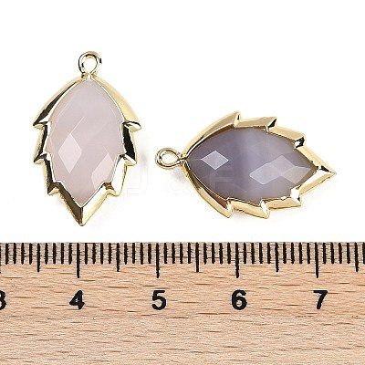 Natural Agate Faceted Leaf Pendants G-I375-04G-14-1
