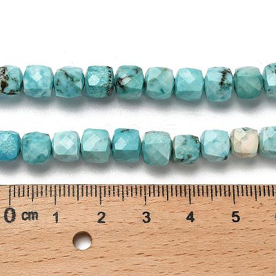 Dyed Natural Howlite Beads Strands G-H078-C28-01-1