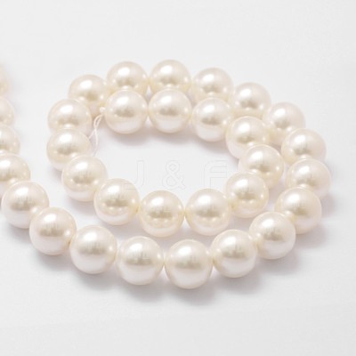 Shell Pearl Bead Strands X-BSHE-L026-03-14mm-1