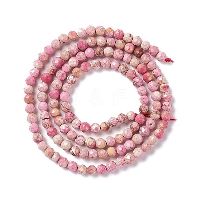 Natural Imperial Jasper Beads Strands G-L578-A06-1