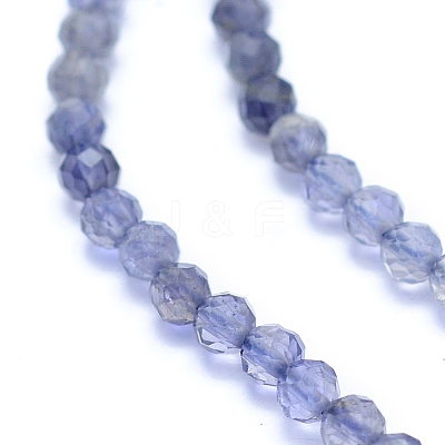 Natural Iolite Beads Strands G-I279-E08-1