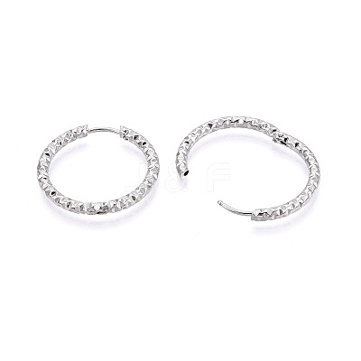 304 Stainless Steel Hoop Earrings STAS-T074-19P-1