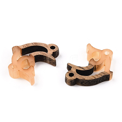 Opaque Resin & Walnut Wood Connector Charms RESI-N039-46D-1