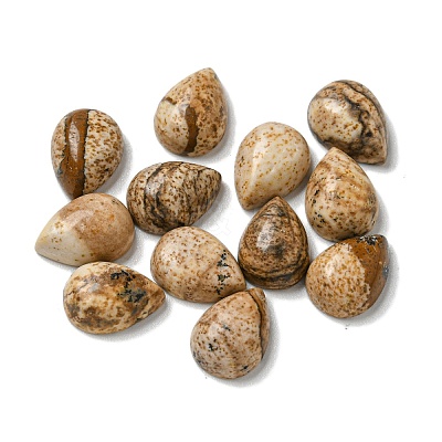 Natural Picture Jasper Cabochons G-Q173-02B-13-1