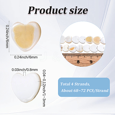 4 Strands Natural Freshwater Shell Beads Strands SHEL-PA0001-06-1