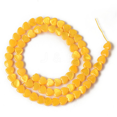 Spray Painted Natural Freshwater Shell Beads Strands X-SHEL-N026-69B-1