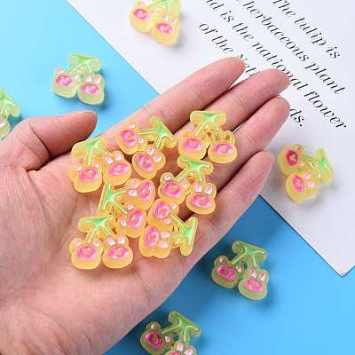 Transparent Acrylic Beads MACR-S374-04B-01-1