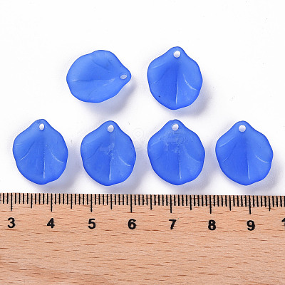 Transparent Frosted Acrylic Pendants MACR-S371-02A-751-1