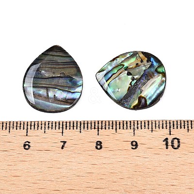Natural Paua Shell Teardrop Cabochons SSHEL-T017-10-1