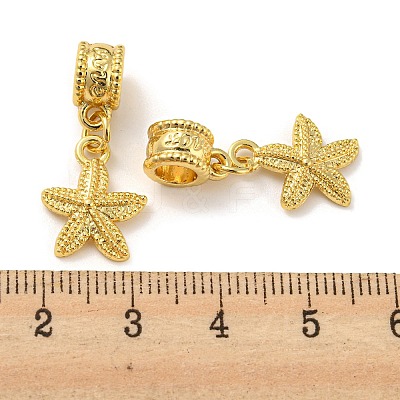 Tibetan Style Alloy European Dangle Charms PALLOY-F199-41G-1