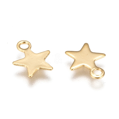 304 Stainless Steel Charms X-STAS-F159-43G-1