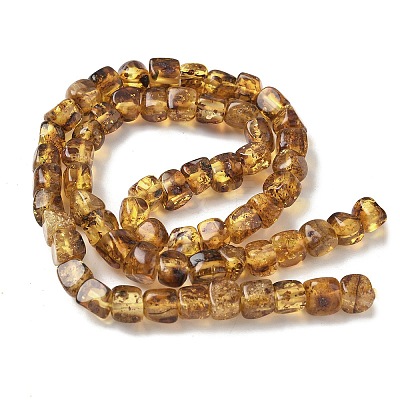 Natural Amber Beads Strands G-L095-E01-06-1