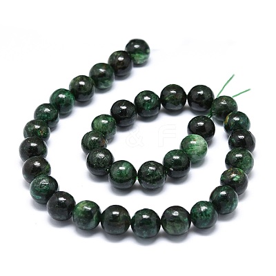 Natural Fuchsite Beads Strands G-O201A-09C-1