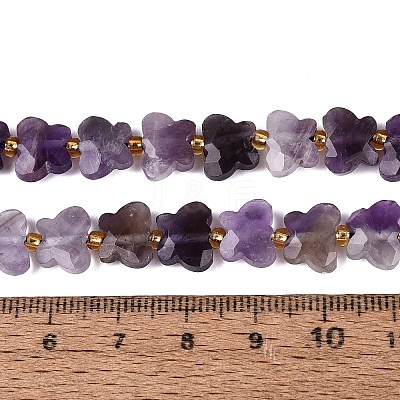 Natural Amethyst Beads Strands G-N371-10A-04-1