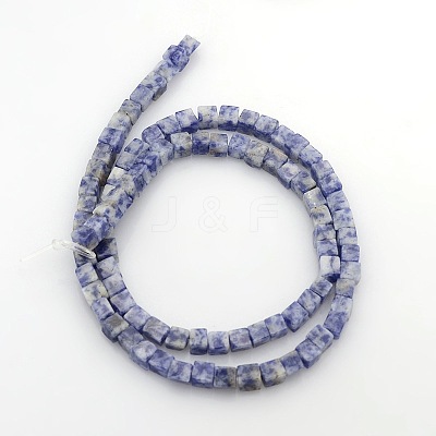 Cube Natural Blue Spot Jasper Beads Strands G-P057-05-1