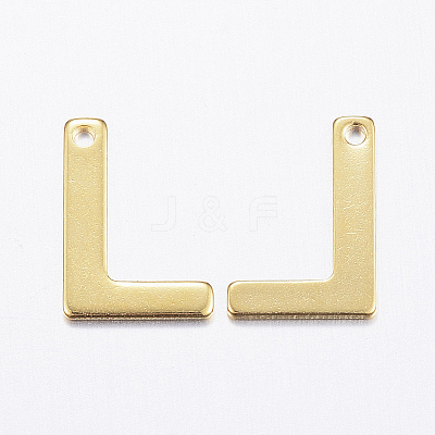 304 Stainless Steel Charms LS-X-STAS-P141-L-1