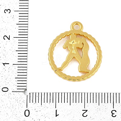 Twelve Constellations Alloy Pendants PALLOY-Q006-01E-G-1