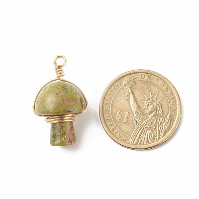 Natural Unakite Pendants PALLOY-JF01134-02-1