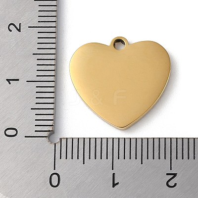 Ion Plating(IP) 304 Stainless Steel Pendants STAS-D025-01G-02-1