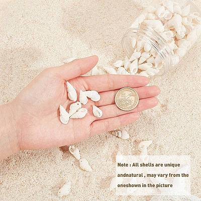 Natural Trumpet Shell Beads BSHE-SC0001-03-1