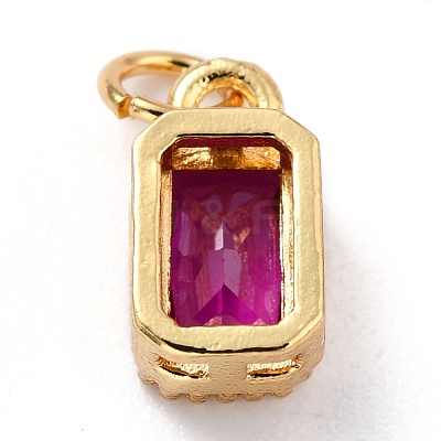 Real 18K Gold Plated Brass Inlaid Cubic Zirconia Charms ZIRC-L100-075G-04-1