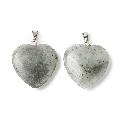 Natural Labradorite Pendants G-G956-B45-FF-1