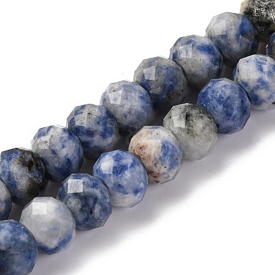 Natural Blue Spot Jasper Beads Strands G-K380-A02-01-1