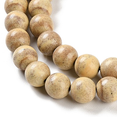 Natural Rainbow Alashan Agate Beads Strands G-NH0022-A06-02-1