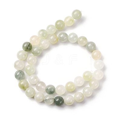 Natural Gemstone Beads Strands G-F808-C02-10mm-1