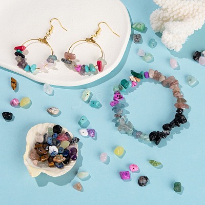 270G 18 Style Natural & Synthetic Gemstone and Shell Chip Beads G-FS0001-25-1