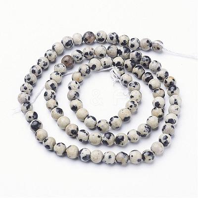 Natural Dalmatian Jasper Beads Strands GSR4mmC004-1