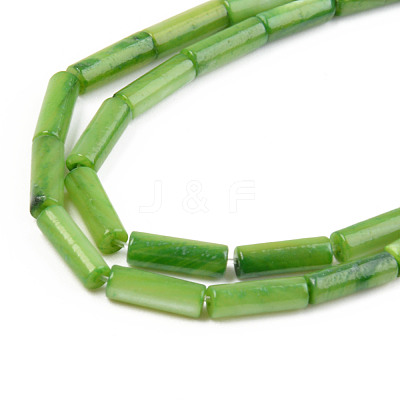 Natural Freshwater Shell Beads Strand SHEL-T017-40-1