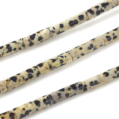 Natural Dalmatian Jasper Beads Strands X-G-F247-21-1